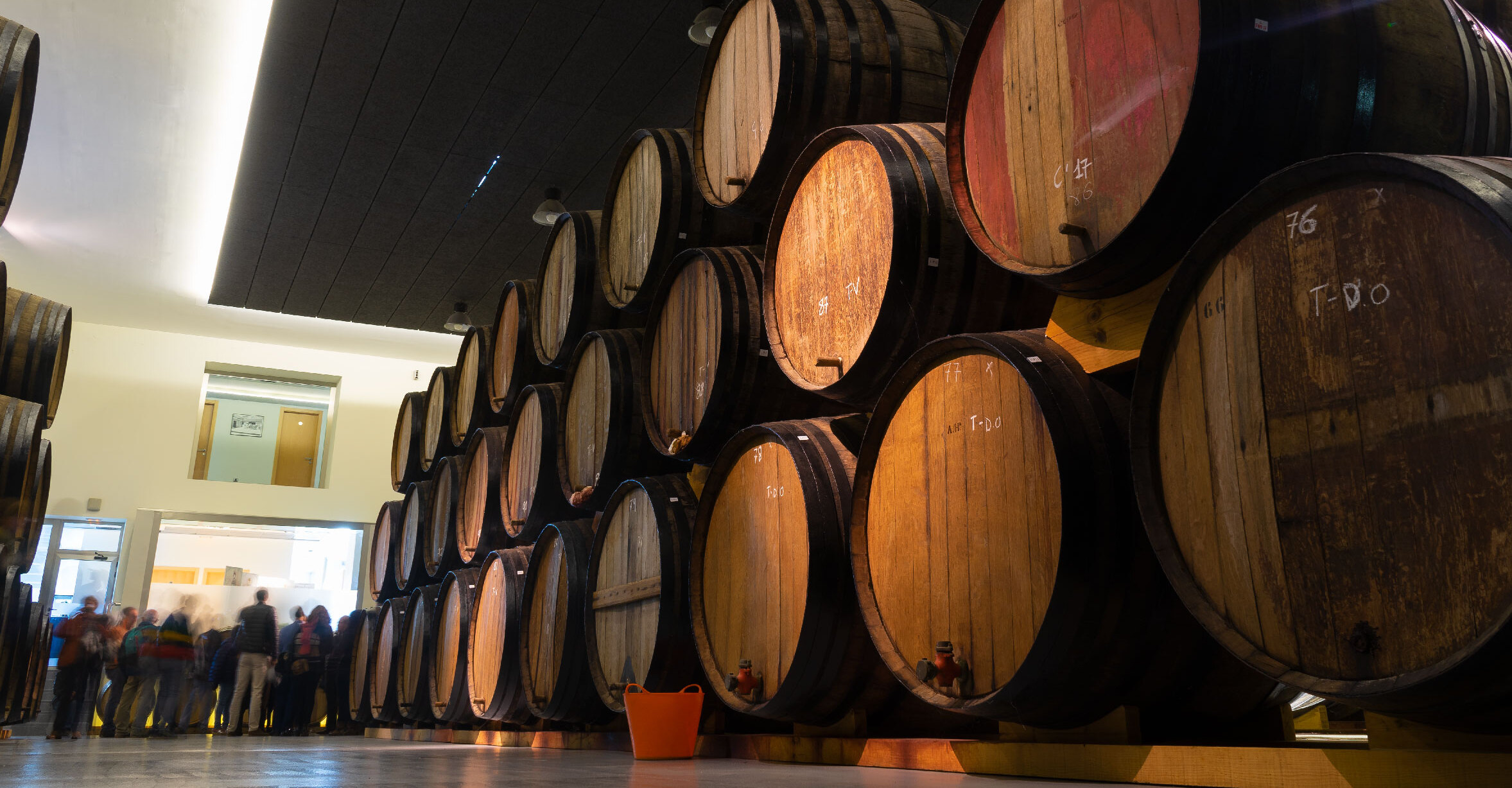 Ruta del Vino Monovar